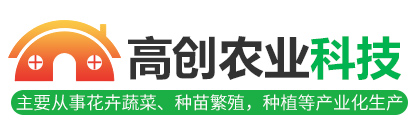 金鄉(xiāng)縣高創(chuàng)農(nóng)業(yè)科技有限公司