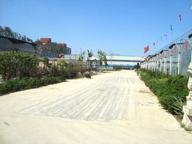 廠(chǎng)區(qū)廠(chǎng)房