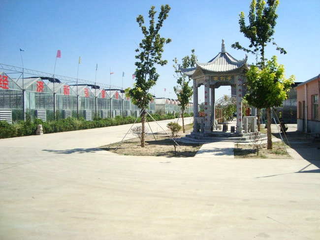 廠(chǎng)區(qū)廠(chǎng)房