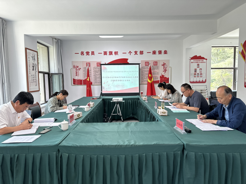 刀刃向內(nèi)深入剖析 貫通融合落實(shí)整改&mdash;&mdash;民爆公司黨支部召開主題教育專題民主生活會