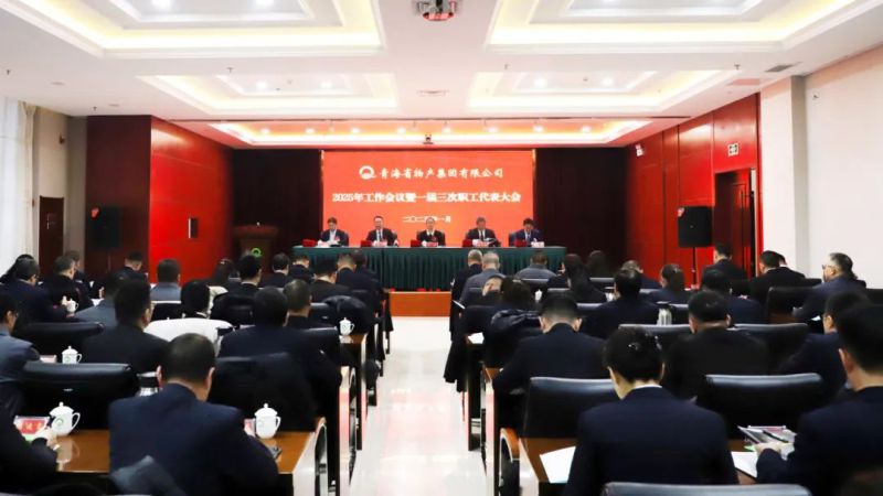 堅(jiān)定信心促發(fā)展 實(shí)干爭(zhēng)先攀新高&mdash;&mdash;省物產(chǎn)集團(tuán)2025年工作會(huì)議暨一屆三次職代會(huì)勝利召開
