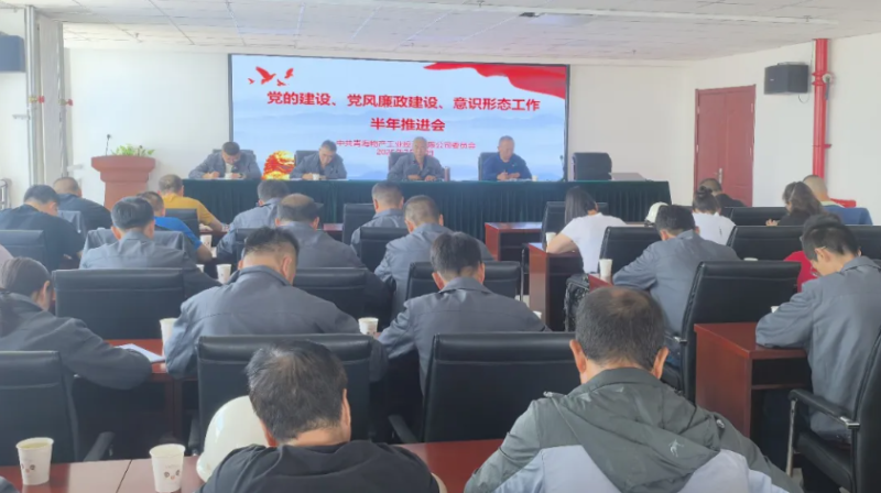 工投公司黨委召開黨的建設(shè)、黨風廉政建設(shè)、意識形態(tài)工作半年推進會